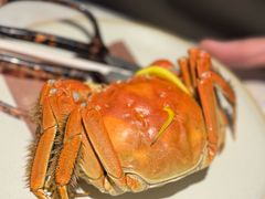 -成隆行·蟹王府(九江路店)