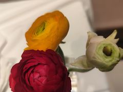 -藕巷金玉·珍品楚菜(光谷之星店)