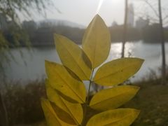 -雁滩公园
