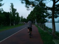 android_upload_pic-艾溪湖湿地公园