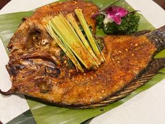 -紫滇源云南生态菜(丹凤街店)