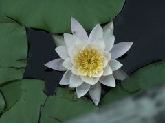 -长广溪湿地公园