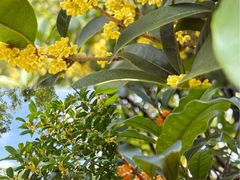 -杭州城北体育公园