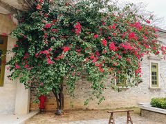 -赤坎·广东华侨国际旅游度假区