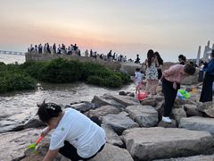 -宝安西湾红树林湿地公园