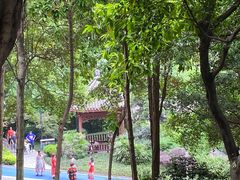 -龙头寺公园