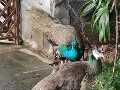 -广州从化都喜泰丽度假酒店温泉