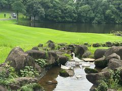 -麓湖高尔夫球俱乐部