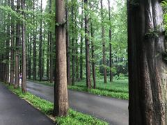 -日照海滨国家森林公园