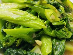 -乌文新澄海卤鹅店