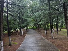 -西安浐灞国家湿地公园
