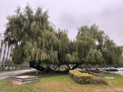 -东北大学(南湖校区)
