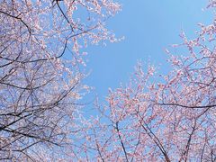 -朝阳公园