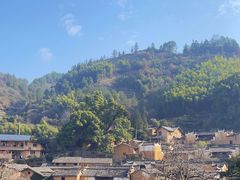-杨家堂村