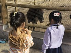 -西安秦岭野生动物园