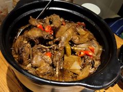 -小金鬼·煎饺·鸽子汤