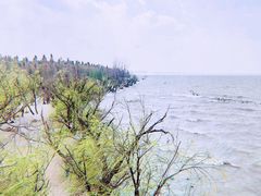 -捞渔河湿地公园