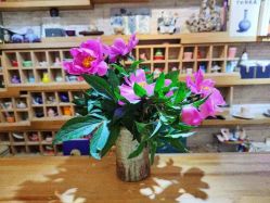 -今日陶艺(富力广场店)