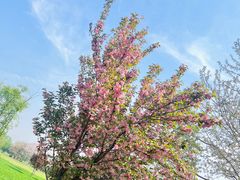 -汉长安城未央宫国家考古遗址公园