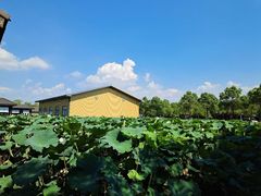 -千龙湖生态旅游度假区