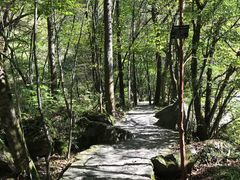 -黎坪国家森林公园