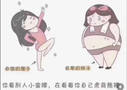 -Fundi张玉珊修身堂·indiba·BTL科技瘦身