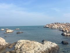 -养马岛旅游度假区