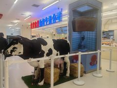 -红星前进面包牛奶公司(君太店)