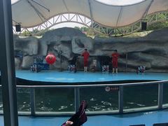 -泉州海丝野生动物世界