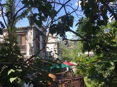 -老张烤羊(王哥庄店)