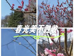 -洛阳市隋唐城遗址植物园
