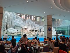 大堂-帝企鹅自助餐厅•儿童岛•真企鹅(长隆企鹅酒店)