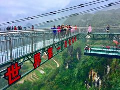 -梦幻奥陶纪景区