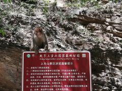 -北京上方山国家森林公园