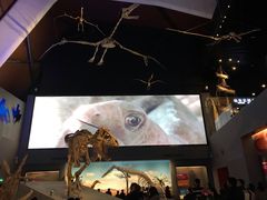 -贝林大翅鲸简餐厅(国家海洋博物馆店)