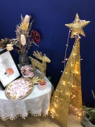 -MONICA BOX美甲美睫