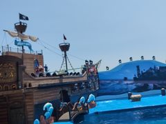 -海合安青岛极地海洋公园