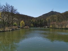 -鲁山国家森林公园