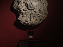 -安塔利亚博物馆