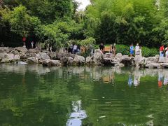 -趵突泉景区