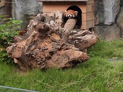 -武汉动物园