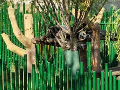 -沈阳森林动物园