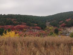 -龙洞风景区-藏龙涧