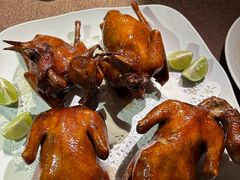 -侨美·唐荔园·40年地道粤菜