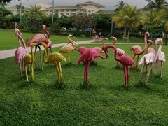 -三亚亚龙湾天域度假酒店