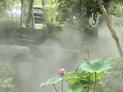 -野蔓果·山野菜(西湖景区·龙井茶田店)