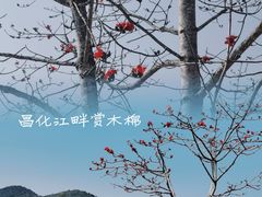-海南霸王岭国家森林公园