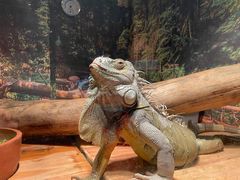 -多彩贵州城极地海洋世界