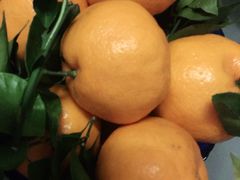 -鲜力达果品批发直销(青山店)