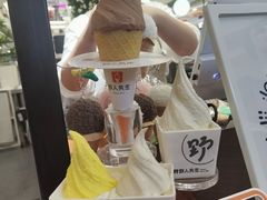 -野人先生Gelato(上海长宁龙之梦店)